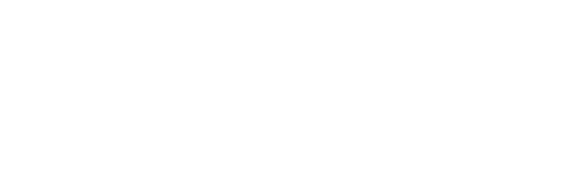 Di Leo Motors